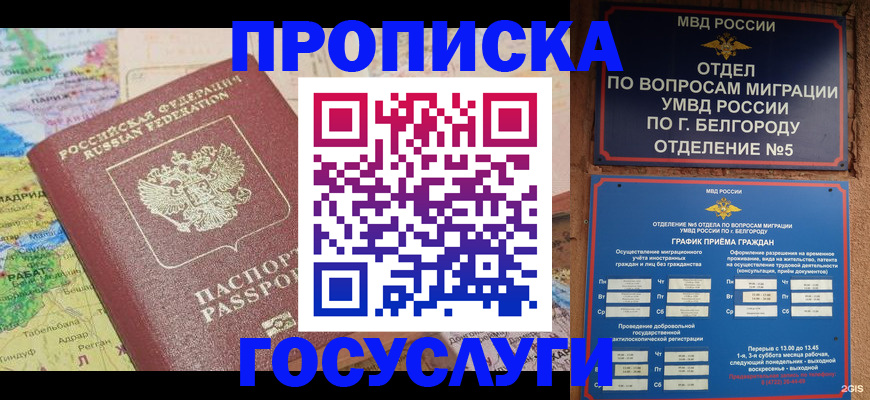 прописка регистрация в Сураже